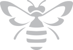gray bee